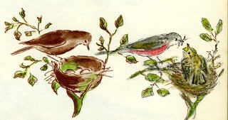 The NEST