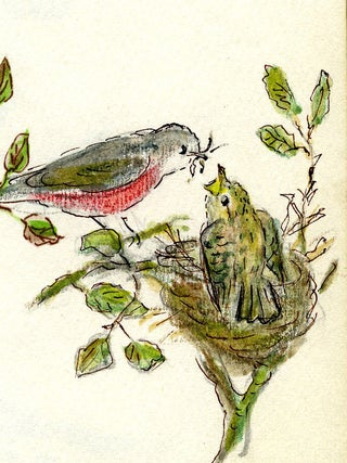 The NEST