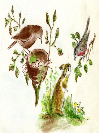 The NEST