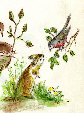 The NEST
