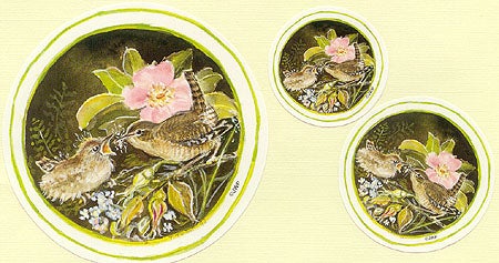 Item #18169 MOTHER WREN FEEDING HER YOUNG [stickers]
