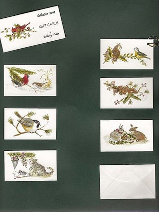 CDB BT 00-17 COLLECTION 2000 BY BETHANY TUDOR; -Gift Enclosure Cards