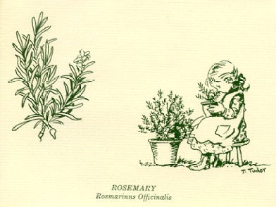 Item #25530 NEUHSA HERB GARDEN and ROSEMARY DOUBLE-FOLD NOTE CARDS [12]