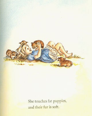 FIRST DELIGHTS: A BOOK ABOUT THE FIVE SENSES
