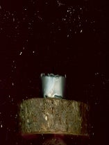 TASHA TUDOR MEMORIAL SERVICE CANDLE: SEPTEMBER 12, 2008