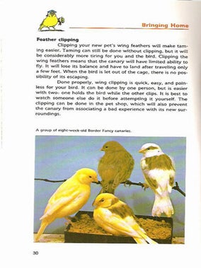 A STEP-BY-STEP BOOK ABOUT CANARIES