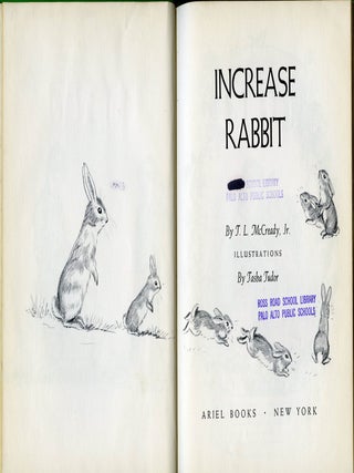 INCREASE RABBIT